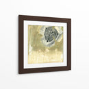 Celadon In Bloom I - Jennifer Goldberger | Cuadro decorativo de Canvas Lab