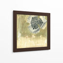 Celadon In Bloom I - Jennifer Goldberger | Cuadro decorativo de Canvas Lab