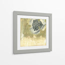Celadon In Bloom I - Jennifer Goldberger | Cuadro decorativo de Canvas Lab