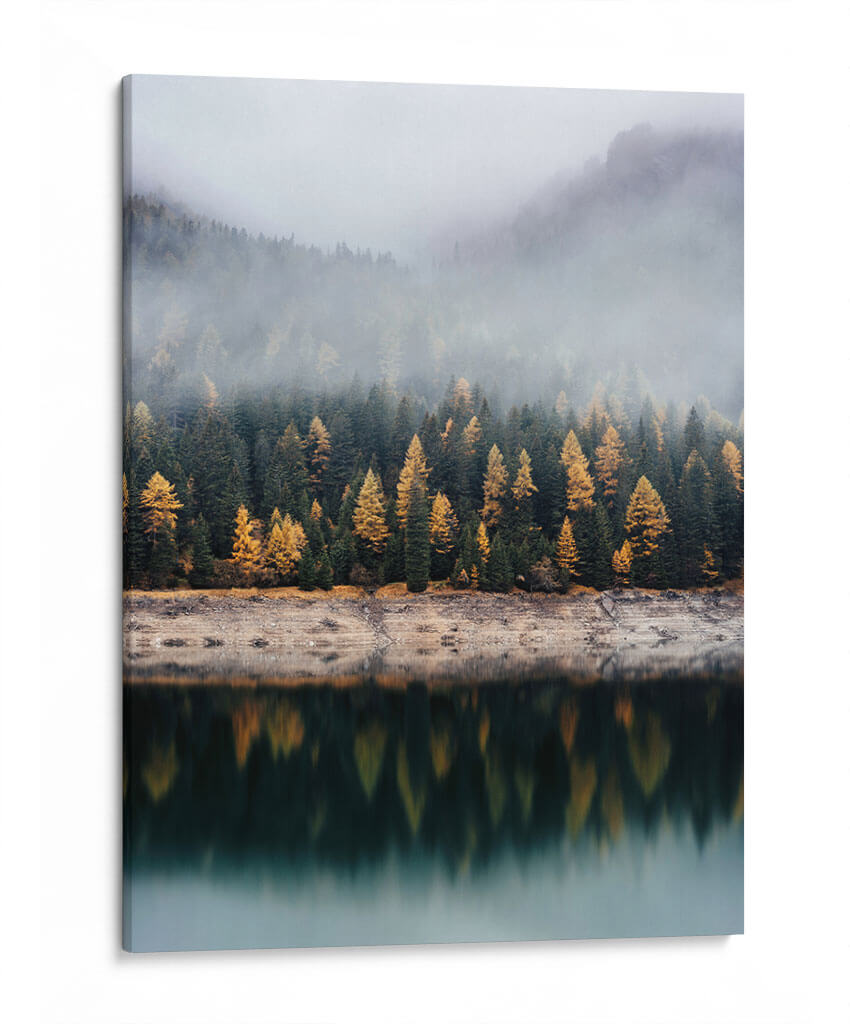 El reflejo de los pinos | Cuadro decorativo de Canvas Lab