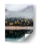 El reflejo de los pinos | Cuadro decorativo de Canvas Lab