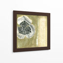 Celadon En La Floración II - Jennifer Goldberger | Cuadro decorativo de Canvas Lab