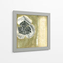 Celadon En La Floración II - Jennifer Goldberger | Cuadro decorativo de Canvas Lab