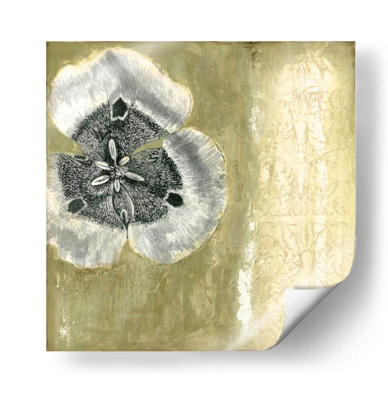 Celadon En La Floración II - Jennifer Goldberger | Cuadro decorativo de Canvas Lab