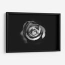 El significado de una rosa | Cuadro decorativo de Canvas Lab