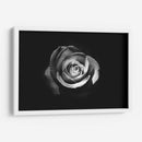 El significado de una rosa | Cuadro decorativo de Canvas Lab