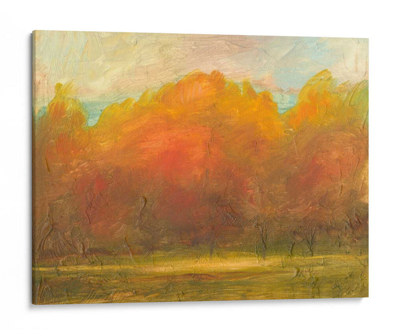 Auburn VIsta I - Ethan Harper | Cuadro decorativo de Canvas Lab