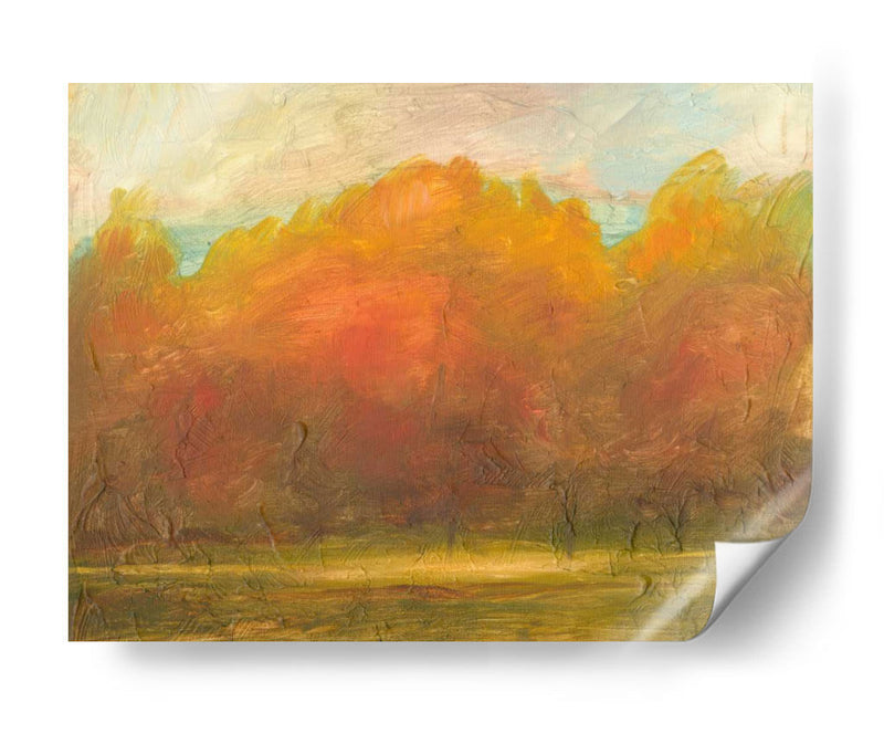 Auburn VIsta I - Ethan Harper | Cuadro decorativo de Canvas Lab