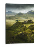 El silencio de lo verde | Cuadro decorativo de Canvas Lab