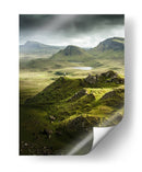 El silencio de lo verde | Cuadro decorativo de Canvas Lab