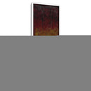 Iluminada Por La Luna Del Bosque V - Jennifer Goldberger | Cuadro decorativo de Canvas Lab