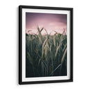 El trigal | Cuadro decorativo de Canvas Lab