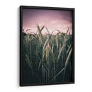 El trigal | Cuadro decorativo de Canvas Lab