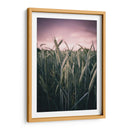 El trigal | Cuadro decorativo de Canvas Lab