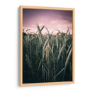 El trigal | Cuadro decorativo de Canvas Lab