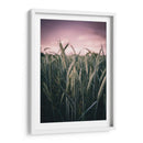 El trigal | Cuadro decorativo de Canvas Lab