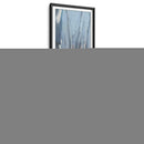 Solsticio De Invierno III - Ethan Harper | Cuadro decorativo de Canvas Lab