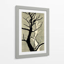 Winter Hollow II - Alicia Ludwig | Cuadro decorativo de Canvas Lab