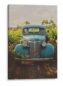 En el viñedo | Cuadro decorativo de Canvas Lab