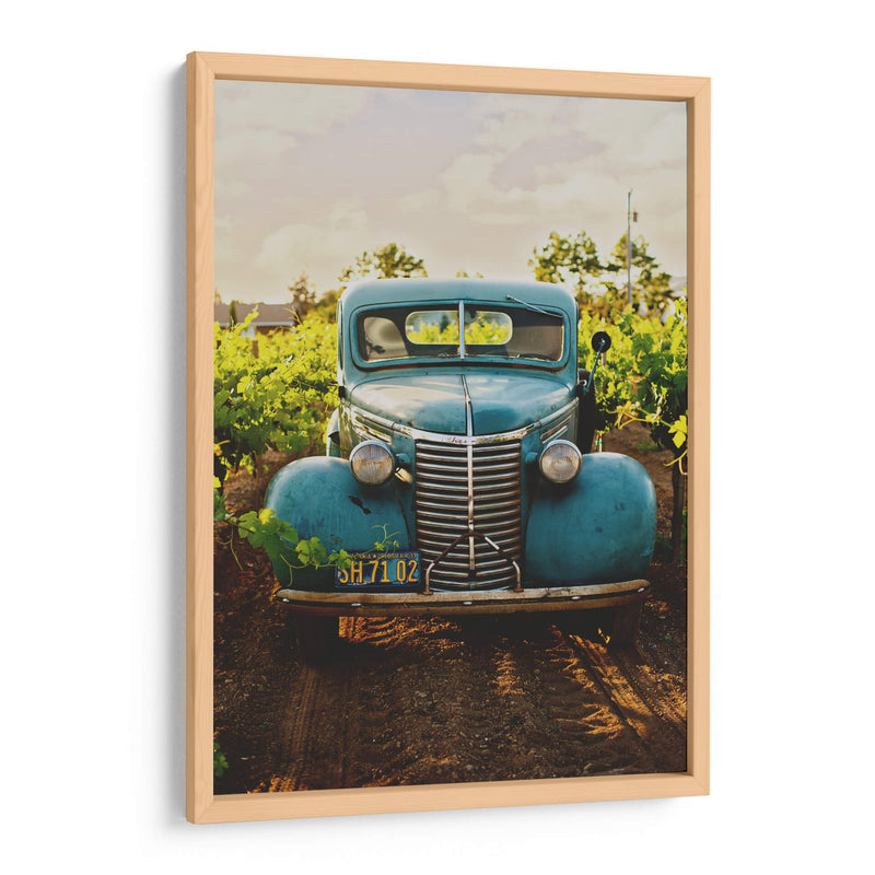 En el viñedo | Cuadro decorativo de Canvas Lab