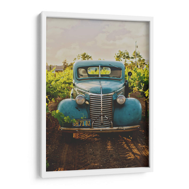 En el viñedo | Cuadro decorativo de Canvas Lab