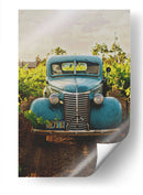 En el viñedo | Cuadro decorativo de Canvas Lab