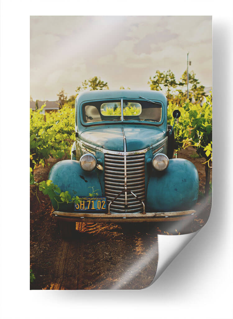 En el viñedo | Cuadro decorativo de Canvas Lab