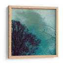 Nocturne II - Alicia Ludwig | Cuadro decorativo de Canvas Lab