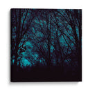 Nocturne III - Alicia Ludwig | Cuadro decorativo de Canvas Lab