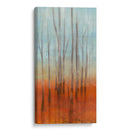 Bosque Del Abedul I - Jennifer Goldberger | Cuadro decorativo de Canvas Lab