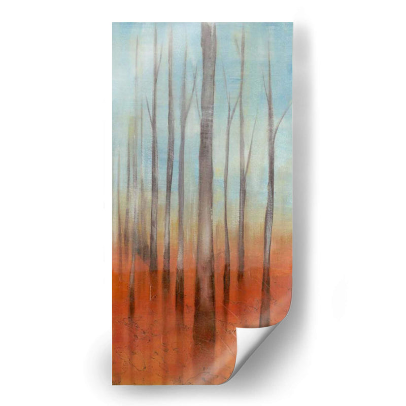 Abedul Bosque II - Jennifer Goldberger | Cuadro decorativo de Canvas Lab