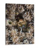 Escondite | Cuadro decorativo de Canvas Lab