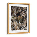 Escondite | Cuadro decorativo de Canvas Lab