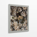 Escondite | Cuadro decorativo de Canvas Lab