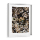 Escondite | Cuadro decorativo de Canvas Lab