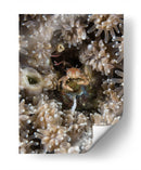 Escondite | Cuadro decorativo de Canvas Lab