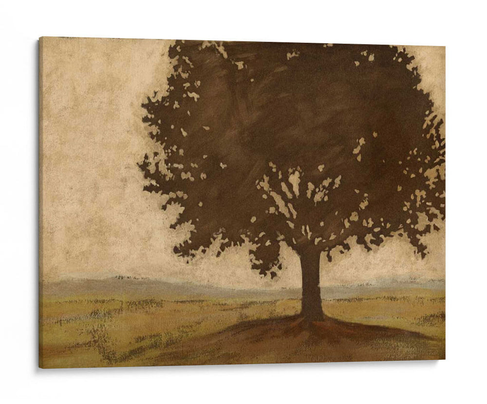 Shenandoah VIsta II - Megan Meagher | Cuadro decorativo de Canvas Lab