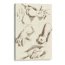 Estudio De Manos - Diderot | Cuadro decorativo de Canvas Lab