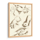 Estudio De Manos - Diderot | Cuadro decorativo de Canvas Lab