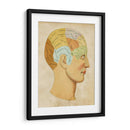 La Frenología De La Vendimia - Vision Studio | Cuadro decorativo de Canvas Lab