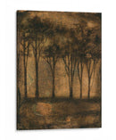 Bronceada Treeline I - Jennifer Goldberger | Cuadro decorativo de Canvas Lab