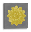 Dorado Rosette V - Vision Studio | Cuadro decorativo de Canvas Lab