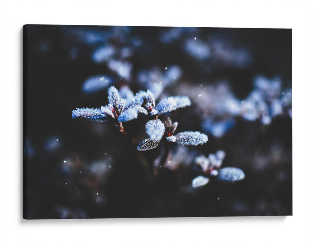 Evidencia de una noche fría | Cuadro decorativo de Canvas Lab
