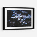 Evidencia de una noche fría | Cuadro decorativo de Canvas Lab