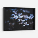 Evidencia de una noche fría | Cuadro decorativo de Canvas Lab