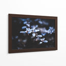 Evidencia de una noche fría | Cuadro decorativo de Canvas Lab