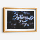 Evidencia de una noche fría | Cuadro decorativo de Canvas Lab