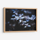 Evidencia de una noche fría | Cuadro decorativo de Canvas Lab