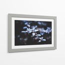 Evidencia de una noche fría | Cuadro decorativo de Canvas Lab