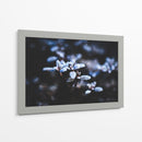 Evidencia de una noche fría | Cuadro decorativo de Canvas Lab